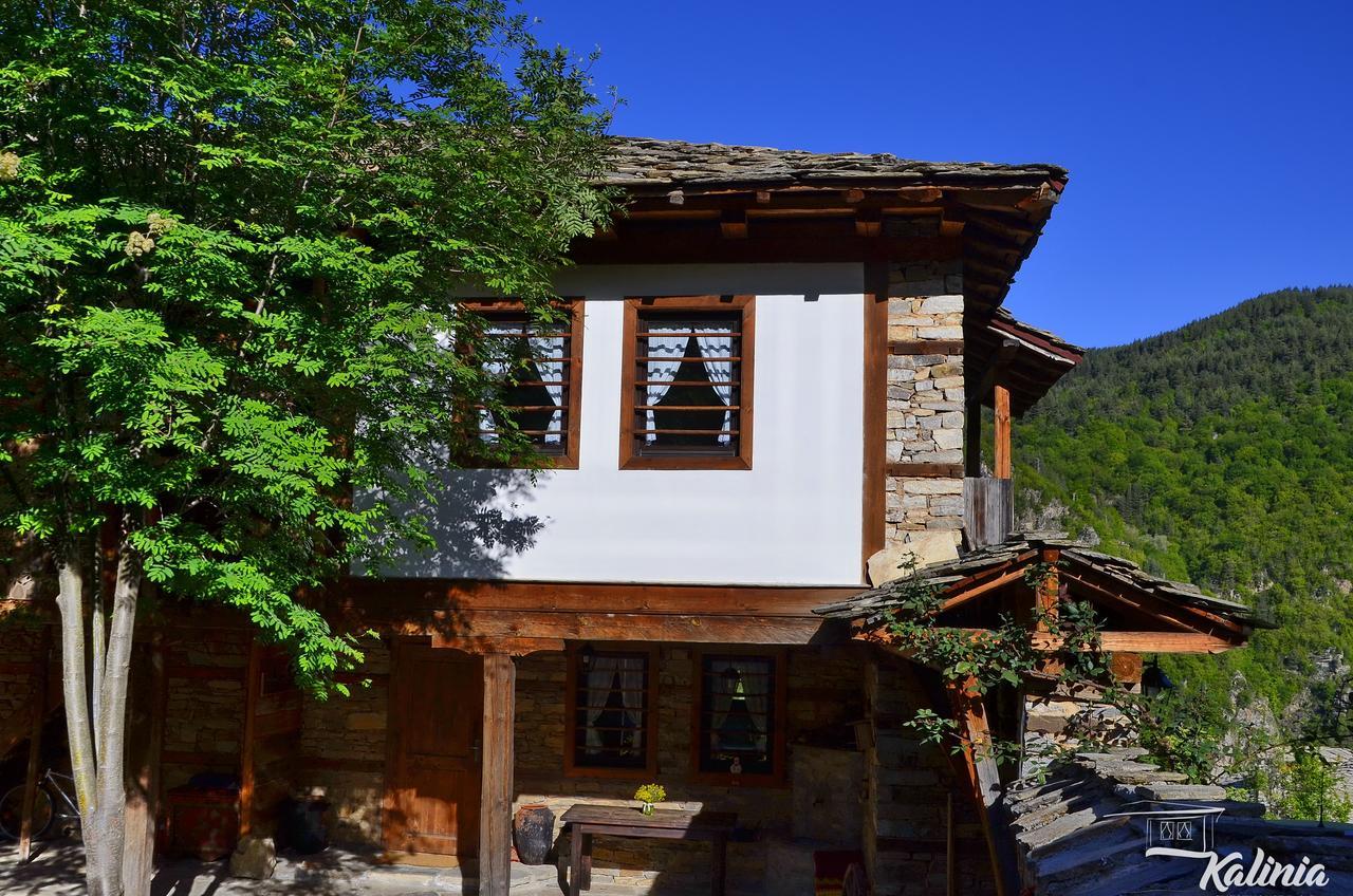 Kalinia Guesthouse B&B Kovacevica Exterior photo