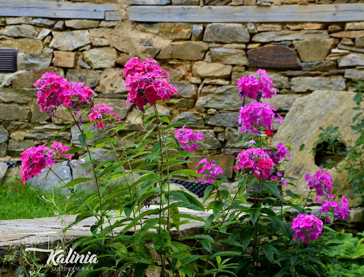 Kalinia Guesthouse B&B Kovacevica Exterior photo